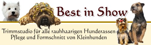 Best in Show Banner