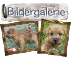 Bildergalerie