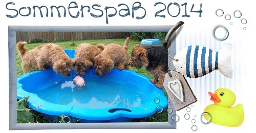 Sommerspass 2014