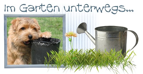 Im Garten unterwegs