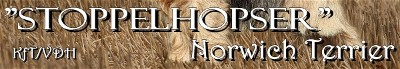 Stoppelhopser_Banner_2