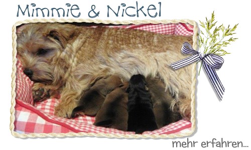 Welpentagebuch Mimmi und Nickel