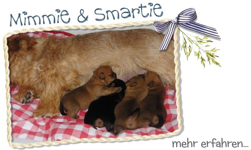 Welpentagebuch Mimmi und Smartie