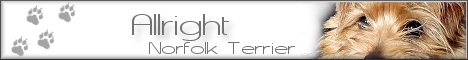 allright468