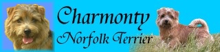 Charmonty_banner