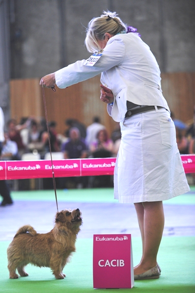DSC_9395 DSC_9395