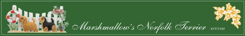 Marshmallowsbanner