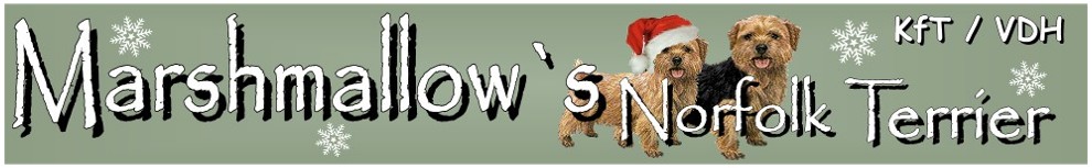 Weihnachtsbanner
