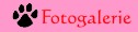 navi trimming fotogalerie