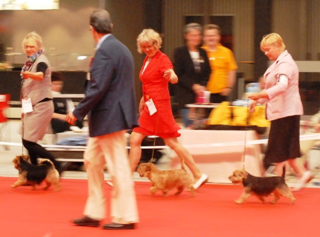 weltsieger 2010 2