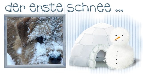 der erste Schnee