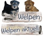 unsere Welpen